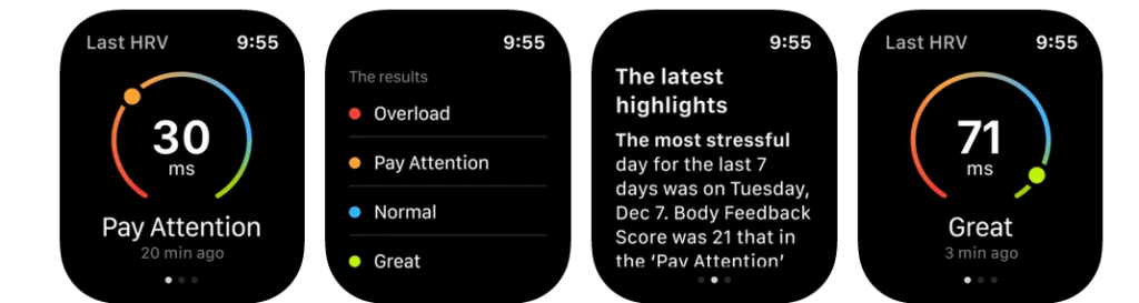 Apple Watch Stress Monitor